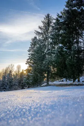 Symbolfoto - Winterlandschaft