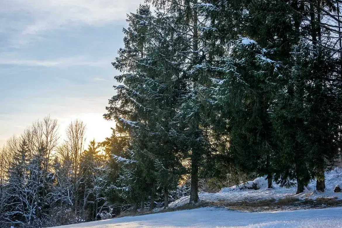 Symbolfoto - Winterlandschaft