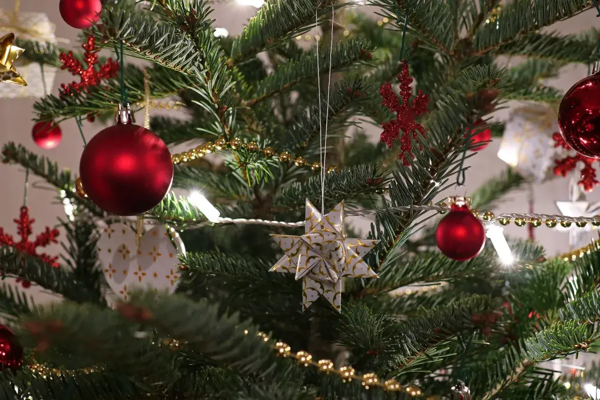 Symbolfoto - Tannenbaum