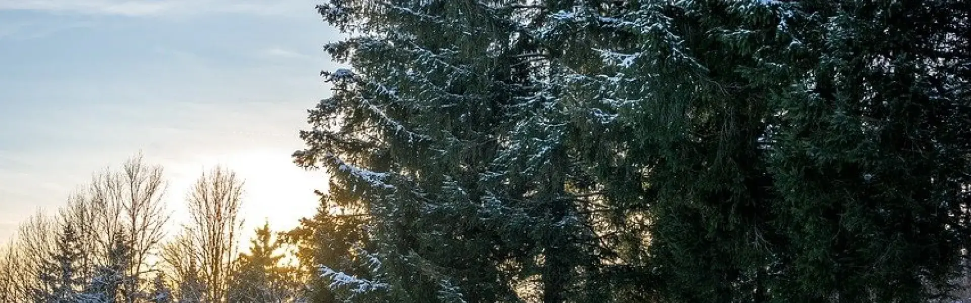 Symbolfoto - Winterlandschaft