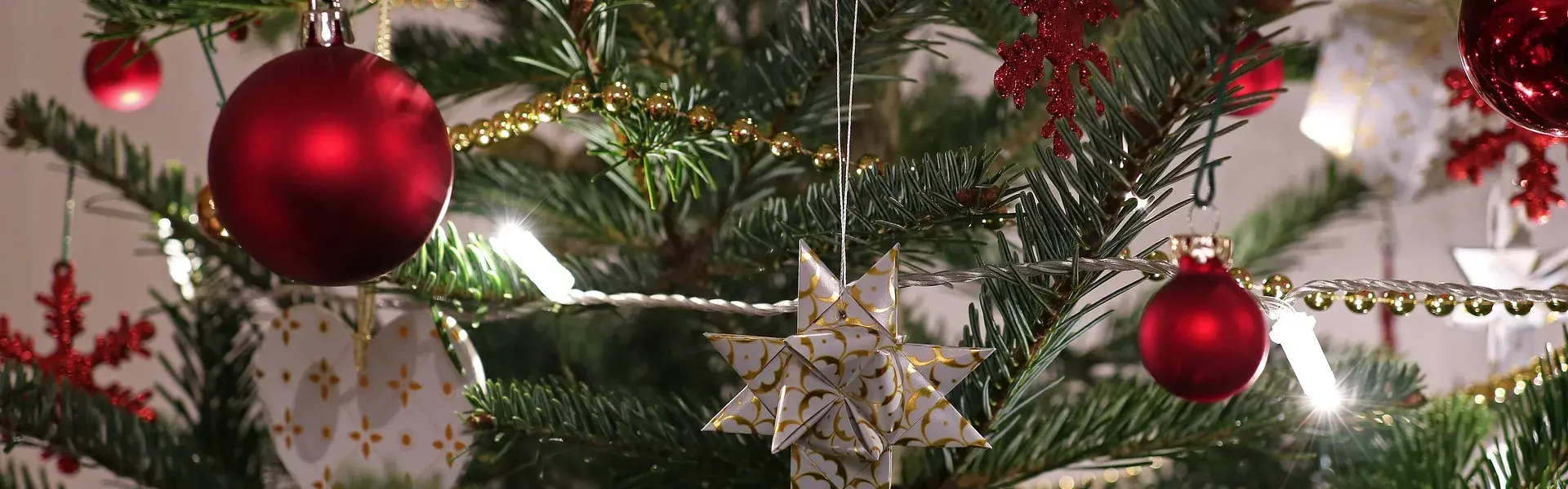 Symbolfoto - Tannenbaum