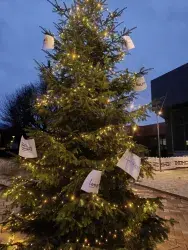Vorweihnachtlicher Lichterglanz auf der Baustelle am Rathausplatz